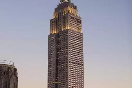 Sed rerum quis libero.