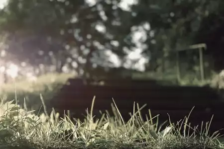 Quaerat est nam ut voluptas dolorem.